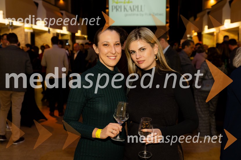 Salon štajerskih mladih vin Pubec 2025 v Ljubljani