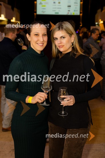 Salon štajerskih mladih vin Pubec 2025 v Ljubljani