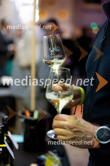 Salon štajerskih mladih vin Pubec 2025 v Ljubljani