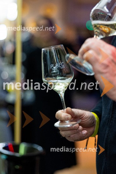 Salon štajerskih mladih vin Pubec 2025 v Ljubljani