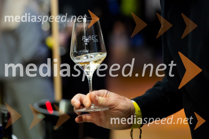 Salon štajerskih mladih vin Pubec 2025 v Ljubljani
