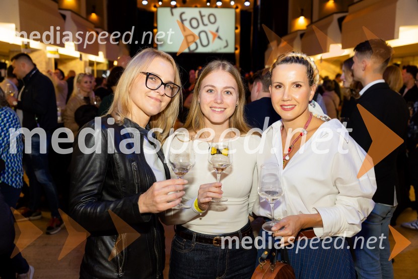 Salon štajerskih mladih vin Pubec 2025 v Ljubljani