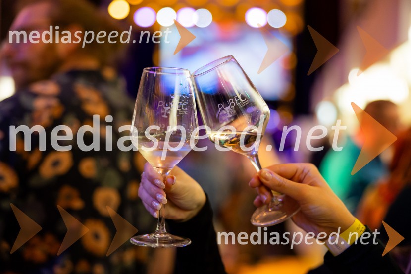 Salon štajerskih mladih vin Pubec 2025 v Ljubljani