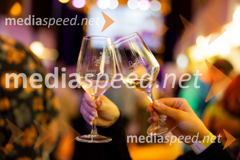Salon štajerskih mladih vin Pubec 2025 v Ljubljani