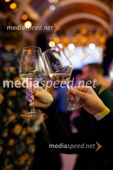 Salon štajerskih mladih vin Pubec 2025 v Ljubljani