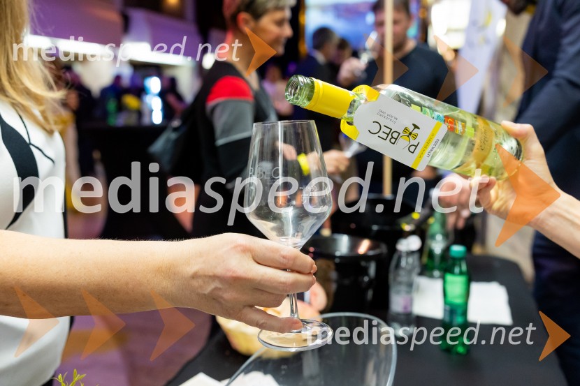 Salon štajerskih mladih vin Pubec 2025 v Ljubljani