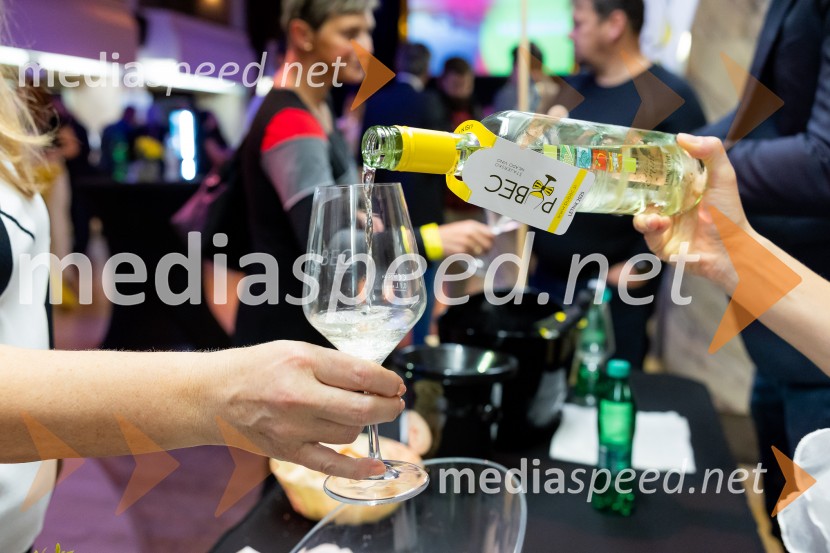 Salon štajerskih mladih vin Pubec 2025 v Ljubljani