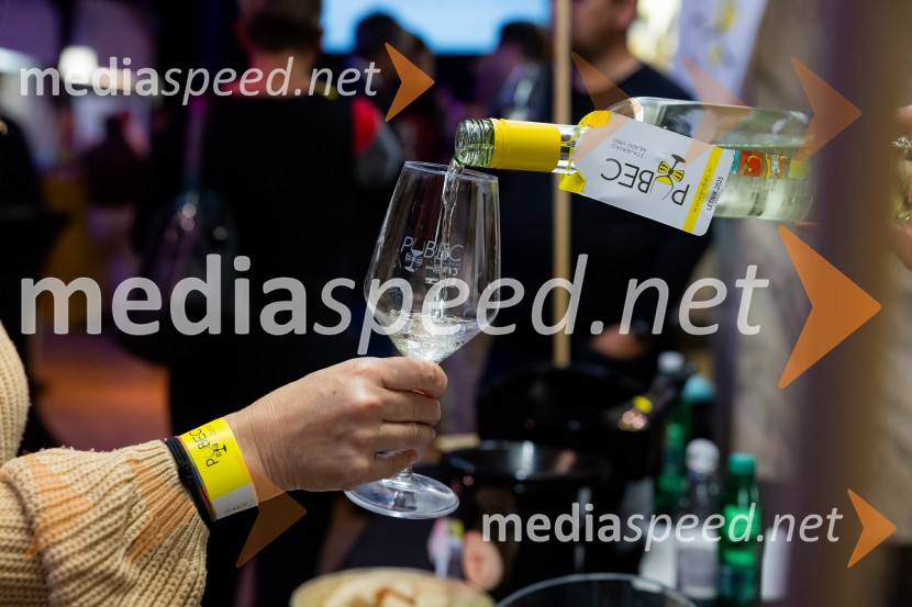 Salon štajerskih mladih vin Pubec 2025 v Ljubljani