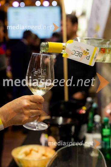 Salon štajerskih mladih vin Pubec 2025 v Ljubljani