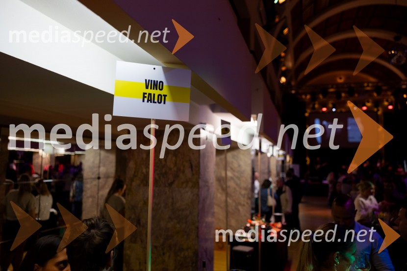 Salon štajerskih mladih vin Pubec 2025 v Ljubljani