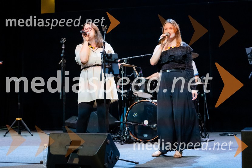 Salon štajerskih mladih vin Pubec 2025 v Ljubljani