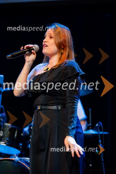 Salon štajerskih mladih vin Pubec 2025 v Ljubljani