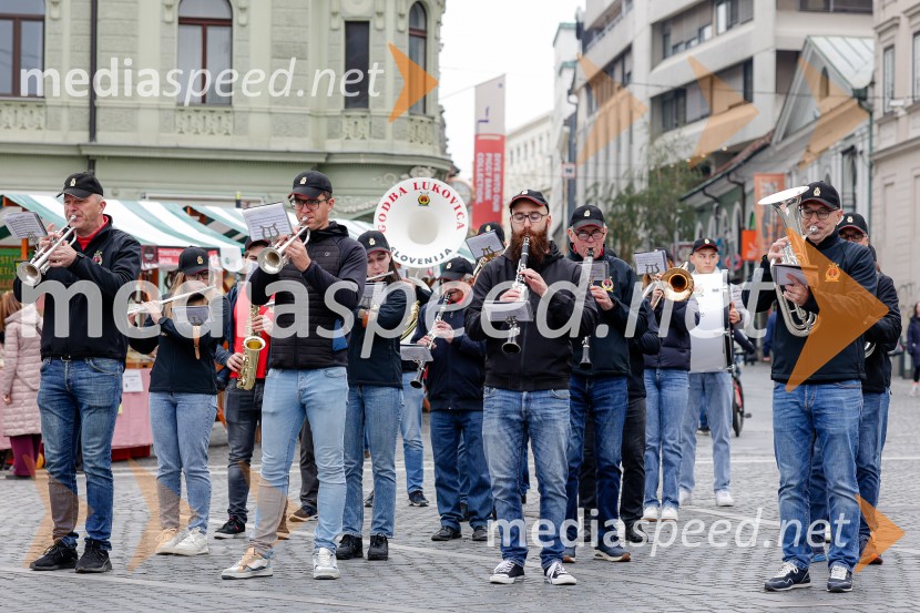Ljubljanska vinska pot - Martinovanje 2025, Ljubljana