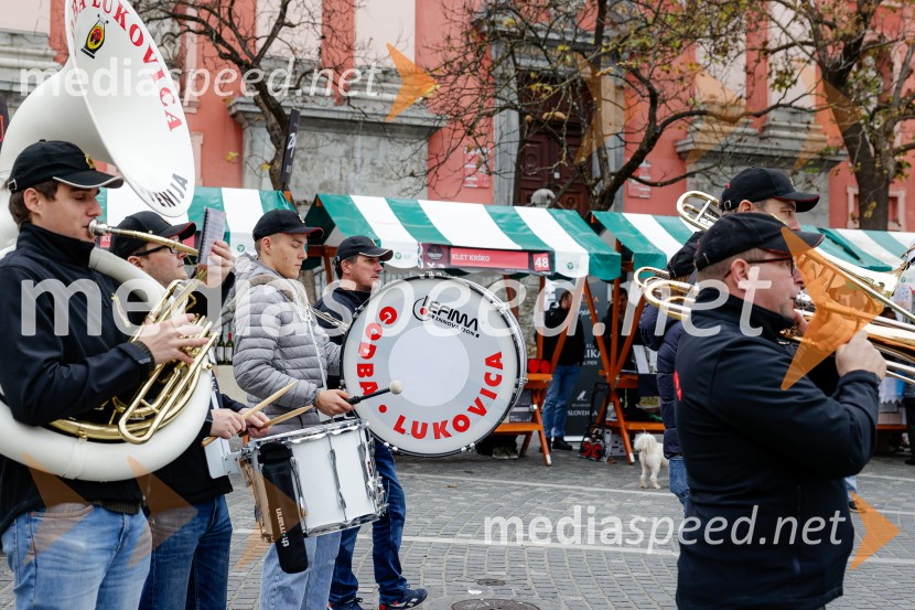 Ljubljanska vinska pot - Martinovanje 2025, Ljubljana