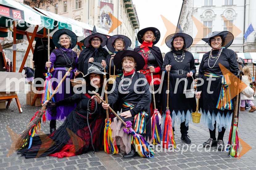 Ljubljanska vinska pot - Martinovanje 2025, Ljubljana