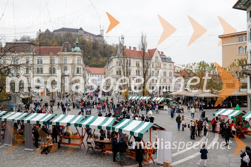 Ljubljanska vinska pot - Martinovanje 2025, Ljubljana