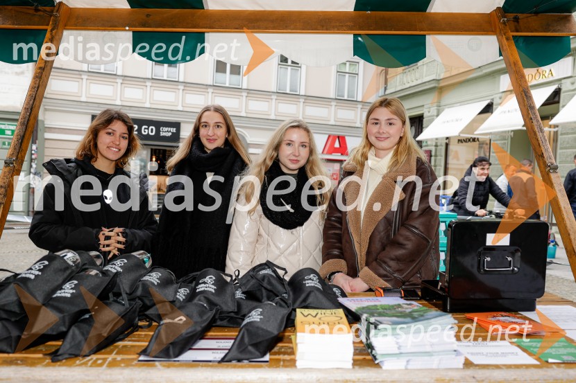 Ljubljanska vinska pot - Martinovanje 2025, Ljubljana