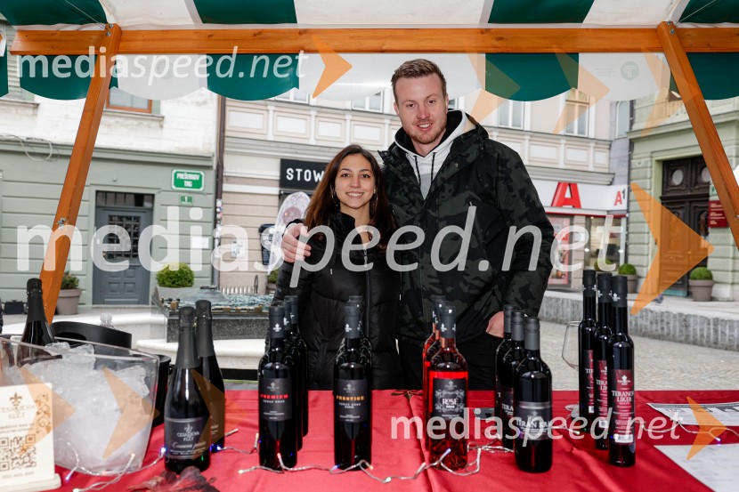 Ljubljanska vinska pot - Martinovanje 2025, Ljubljana