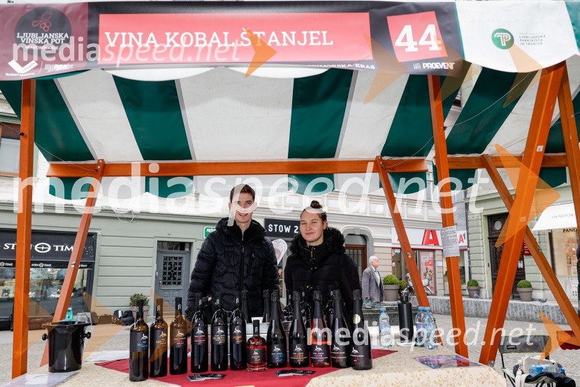 Ljubljanska vinska pot - Martinovanje 2025, Ljubljana