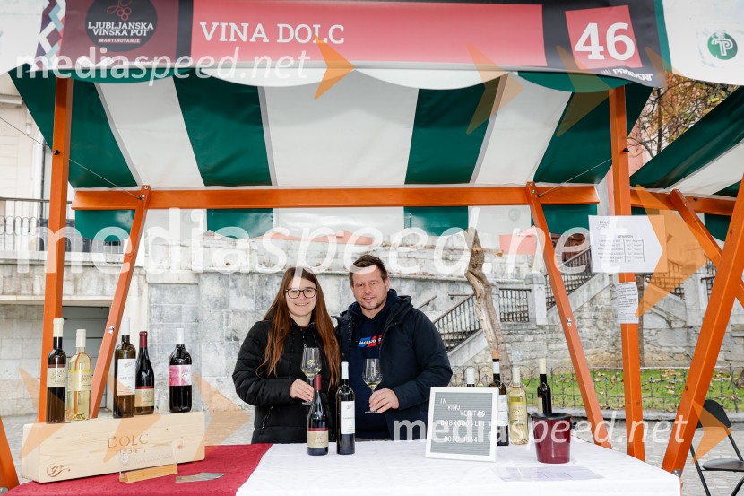 Ljubljanska vinska pot - Martinovanje 2025, Ljubljana