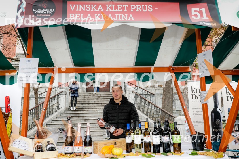 Ljubljanska vinska pot - Martinovanje 2025, Ljubljana