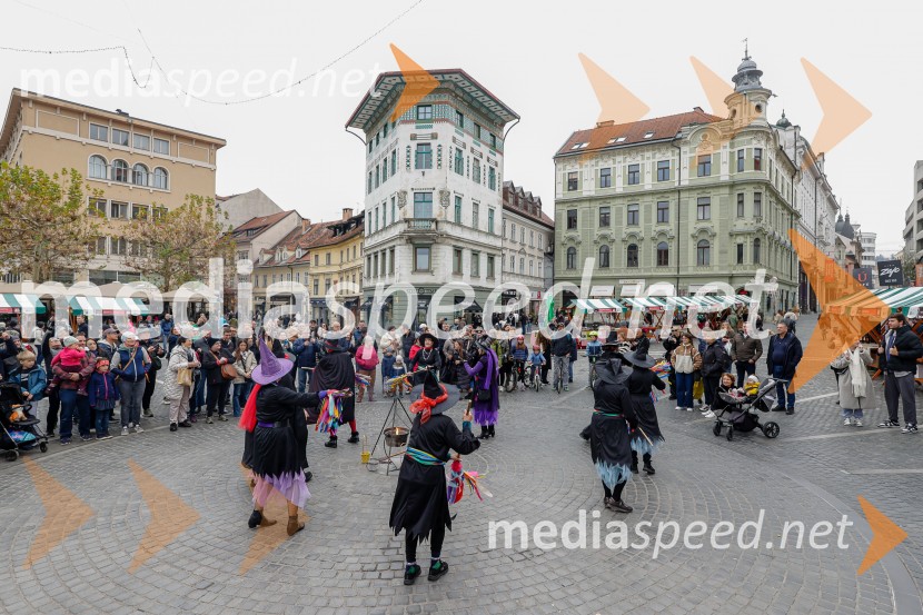 Ljubljanska vinska pot - Martinovanje 2025, Ljubljana