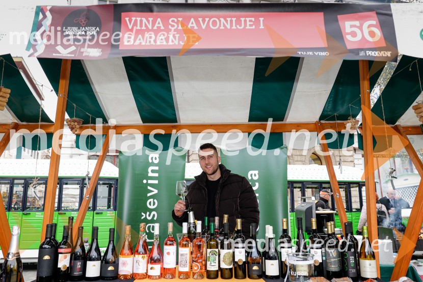 Ljubljanska vinska pot - Martinovanje 2025, Ljubljana