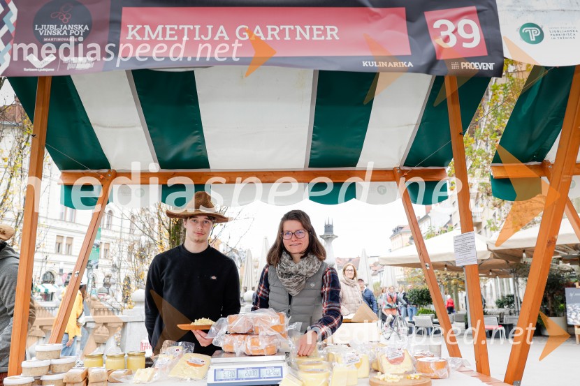 Ljubljanska vinska pot - Martinovanje 2025, Ljubljana