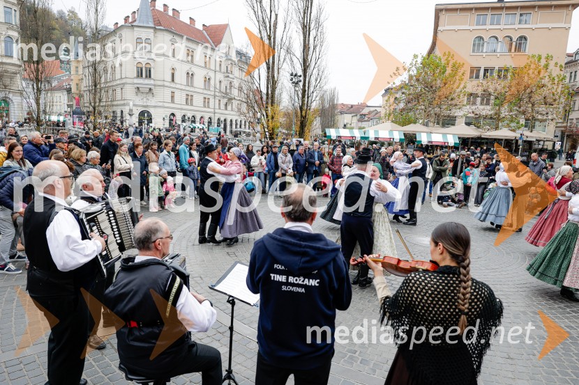 Ljubljanska vinska pot - Martinovanje 2025, Ljubljana