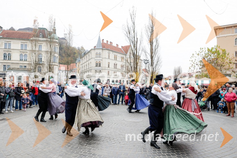 Ljubljanska vinska pot - Martinovanje 2025, Ljubljana
