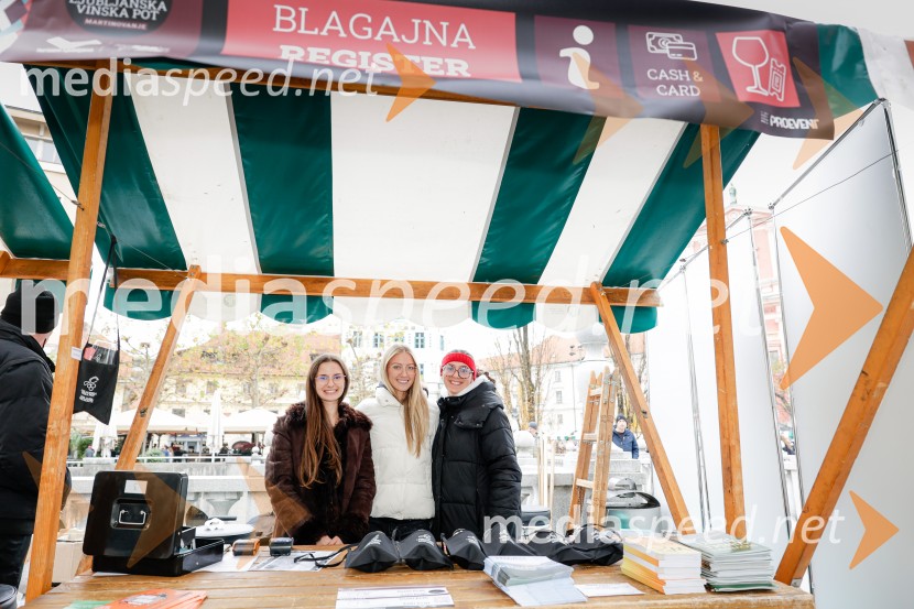 Ljubljanska vinska pot - Martinovanje 2025, Ljubljana