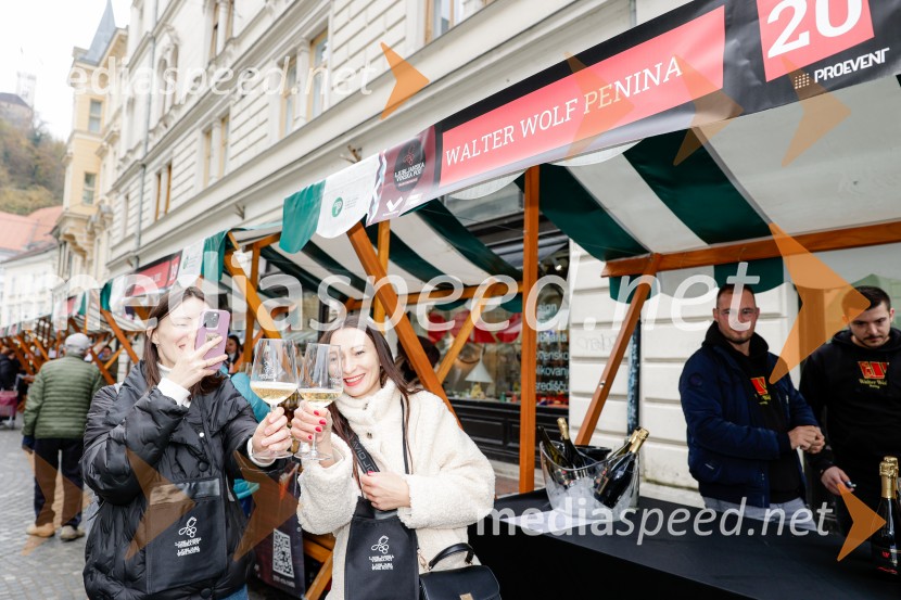 Ljubljanska vinska pot - Martinovanje 2025, Ljubljana