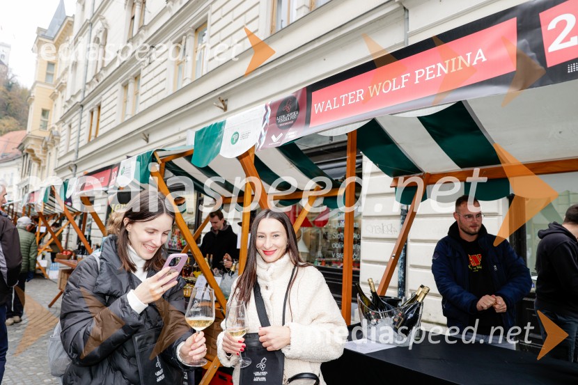 Ljubljanska vinska pot - Martinovanje 2025, Ljubljana