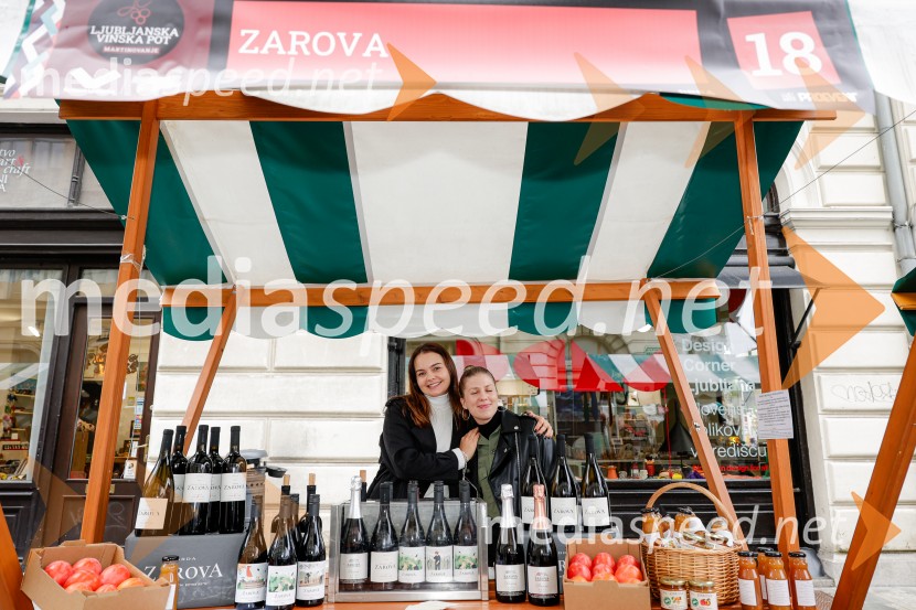 Ljubljanska vinska pot - Martinovanje 2025, Ljubljana