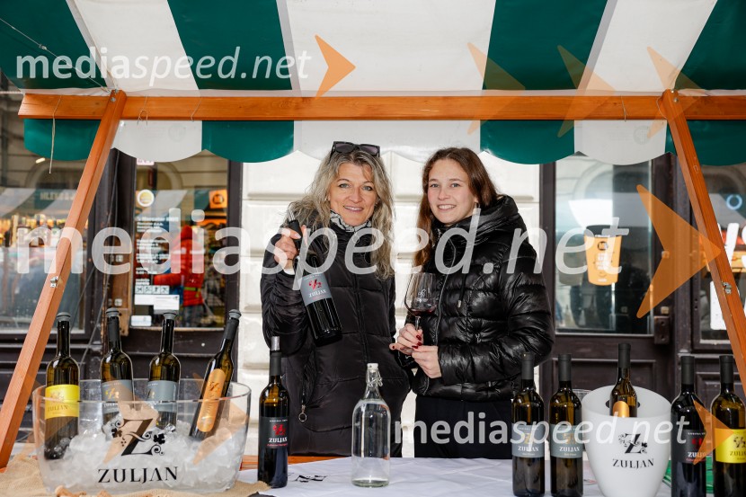 Ljubljanska vinska pot - Martinovanje 2025, Ljubljana