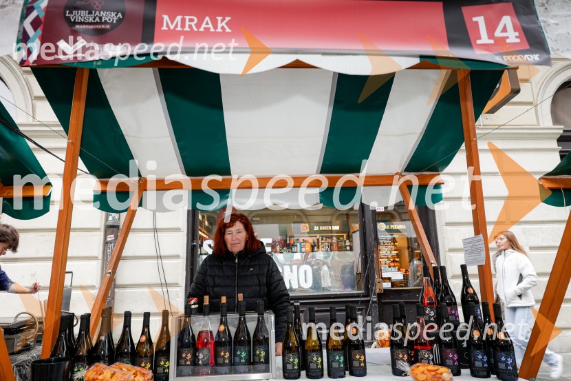 Ljubljanska vinska pot - Martinovanje 2025, Ljubljana