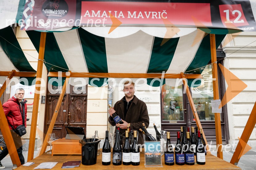 Ljubljanska vinska pot - Martinovanje 2025, Ljubljana