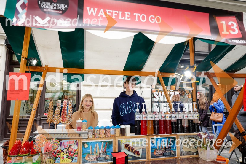 Ljubljanska vinska pot - Martinovanje 2025, Ljubljana