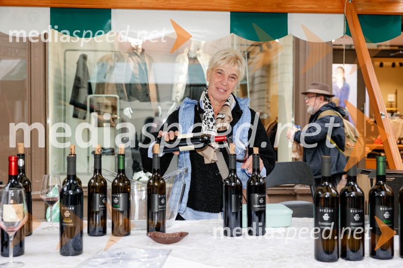 Ljubljanska vinska pot - Martinovanje 2025, Ljubljana