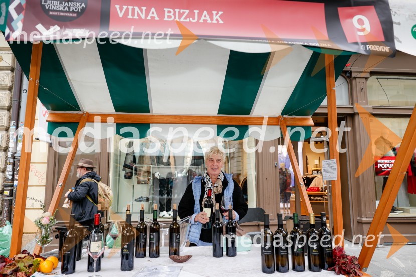 Ljubljanska vinska pot - Martinovanje 2025, Ljubljana