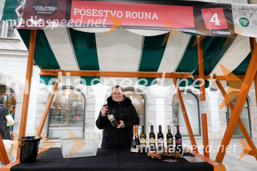 Ljubljanska vinska pot - Martinovanje 2025, Ljubljana