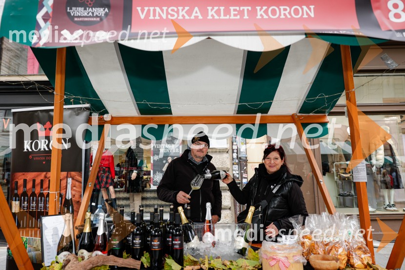 Ljubljanska vinska pot - Martinovanje 2025, Ljubljana