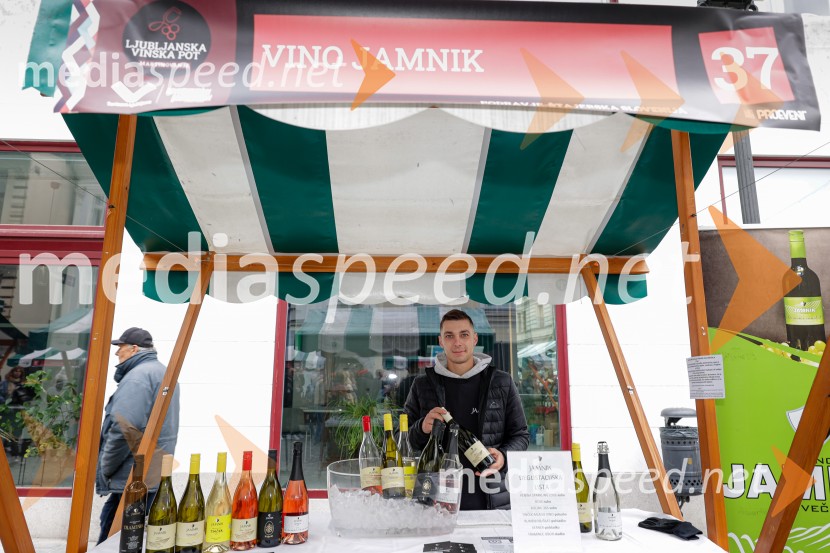 Ljubljanska vinska pot - Martinovanje 2025, Ljubljana