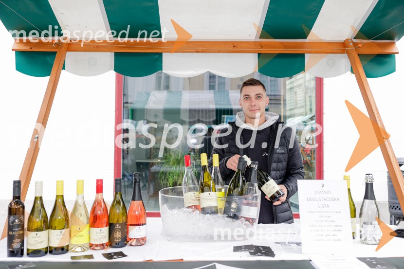 Ljubljanska vinska pot - Martinovanje 2025, Ljubljana