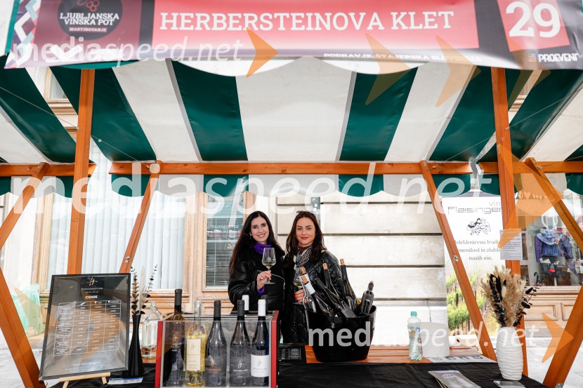 Ljubljanska vinska pot - Martinovanje 2025, Ljubljana