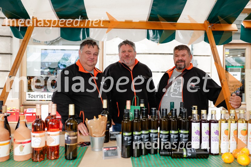 Ljubljanska vinska pot - Martinovanje 2025, Ljubljana