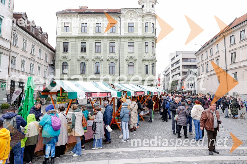 Ljubljanska vinska pot - Martinovanje 2025, Ljubljana