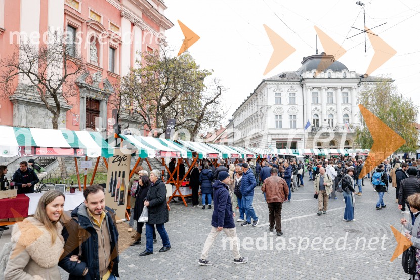 Ljubljanska vinska pot - Martinovanje 2025, Ljubljana