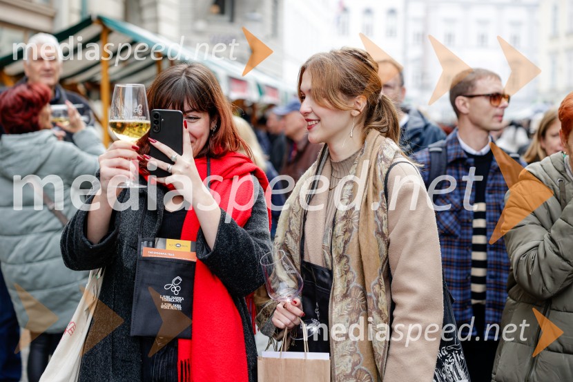 Ljubljanska vinska pot - Martinovanje 2025, Ljubljana