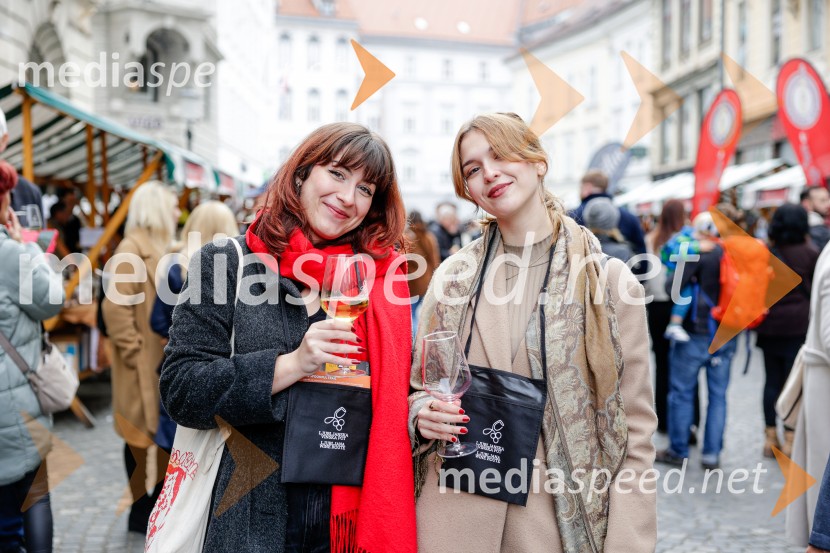 Ljubljanska vinska pot - Martinovanje 2025, Ljubljana
